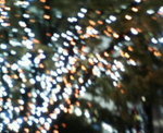 200711131732000.jpg
