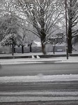 s_201101310802184d45edfa2f9c4.jpeg
